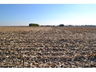 Property photo 98 - MAJOR ILLINOIS LAND AUCTION - 752.54+/- ACRES OFFERED IN 9 TRACTS IN KANKAKEE COUNTY, ILLINOIS